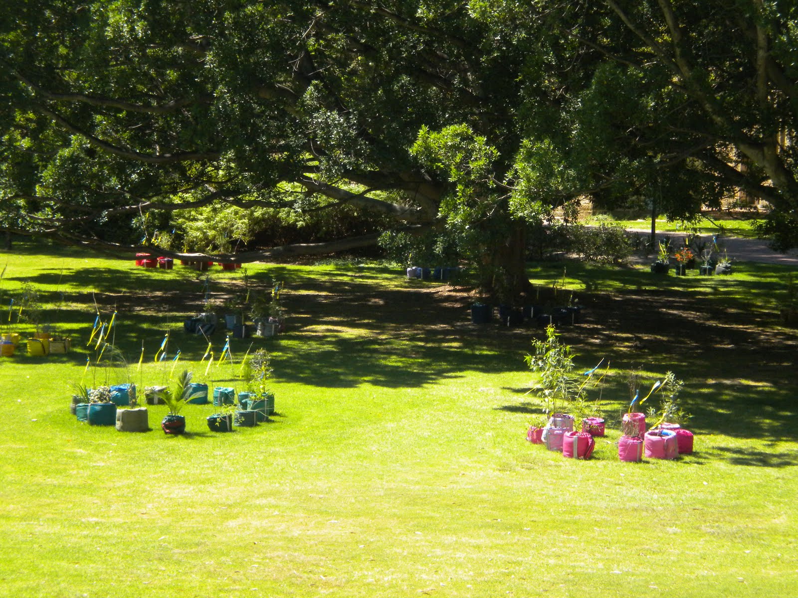 Groteskology Once a Jolly Swag