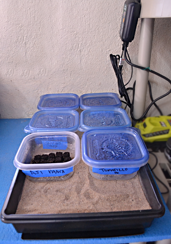 Lazy Gardening Using a Seed Starting Heating Pad