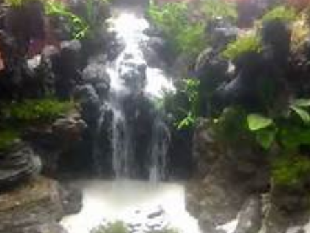 Cara Membuat Air Terjun Aquascape Perikanan
