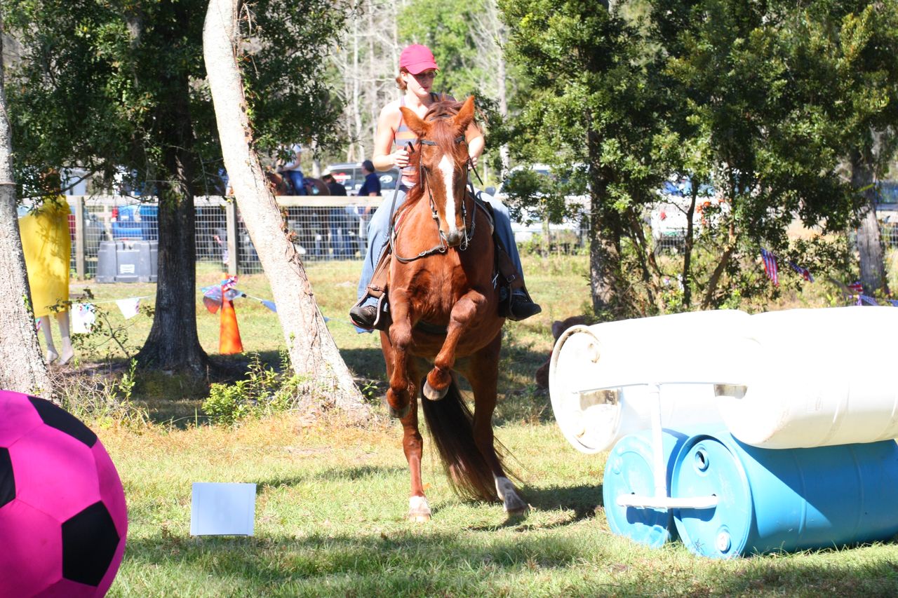 Lake Asbury Riding Association. Fall Obstacle Challenge