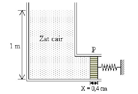 Panjang Permukaan L Diletakkan Perlahan-lahan Di Atas Permukaan Air. Besar