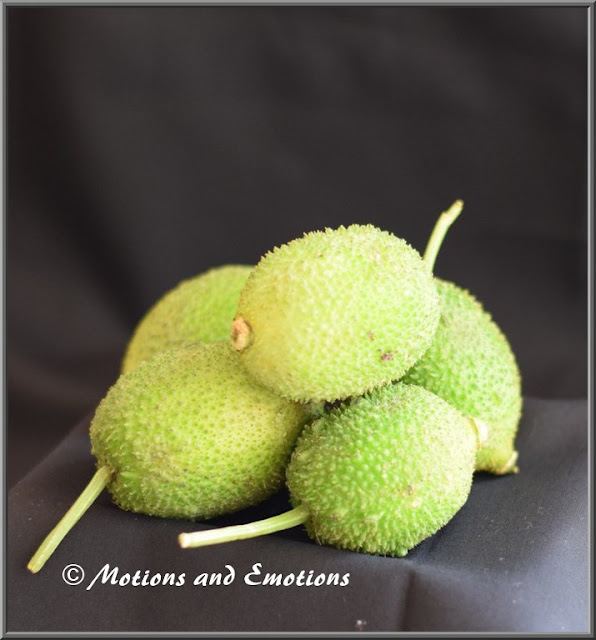 Pur Bhora Kakrol or Stuffed Teasel Gourd