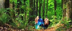 Hutan Seseot Lombok Mengajakmu Berpetualang! Hutan Seseot Lombok Mengajakmu Berpetualang!