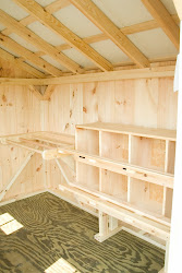 chicken coop building build plans truths inside coops interior shed diy hen chickens roost roosts box backyard idea nesting money