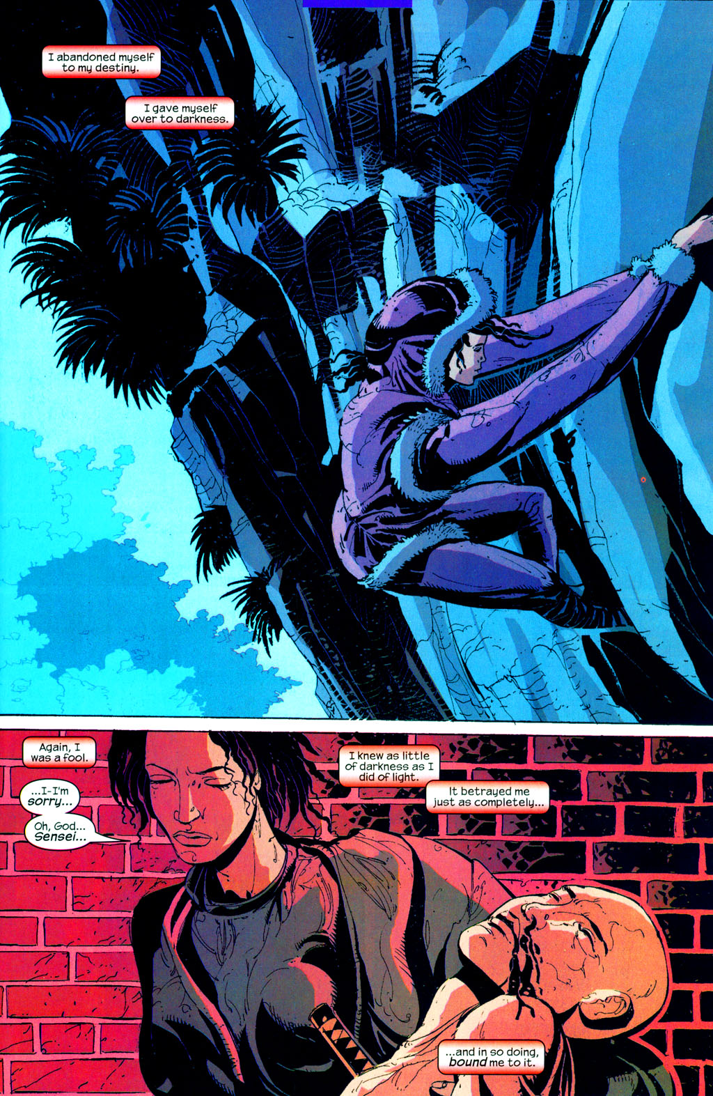 Elektra (2001) Issue #35 #35 - English 16