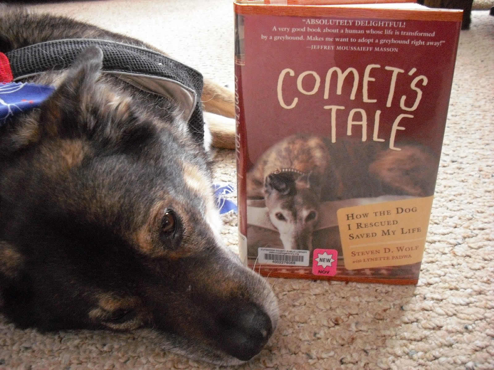 Grab A Book From Our Stack: 