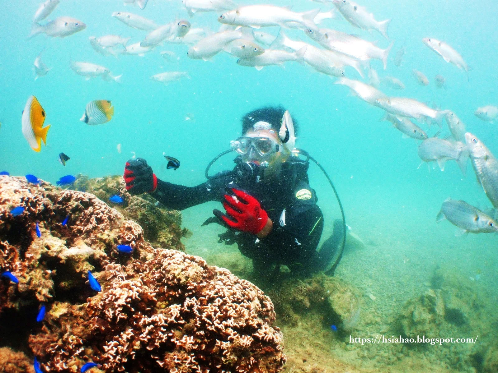 沖繩-推薦-景點-真榮田岬-青之洞窟-真榮田岬潛水-真榮田岬浮潛-青之洞窟潛水-青之洞窟浮潛-青の洞窟-自由行-旅遊-Okinawa-diving-snorkeling-maeda-cape-blue-cave