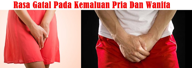 Rasa Gatal Pada Rambut Kemaluan Rasa Gatal Pada Rambut Kemaluan