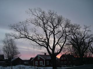 Morgonpromenad%2Bi%2Bljus%2B%25282%2529 - Ljus morgonpromenad och gröt med varmt äpple