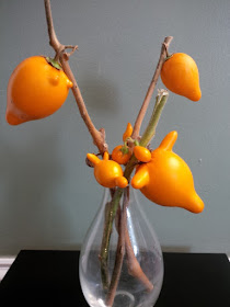 Nipple fruit Solanum mammosum by garden muses-not another Toronto gardening blog