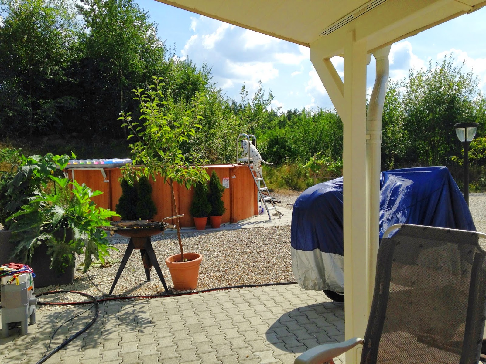 Die Alltagsgourmets Mein Hund ist ein Fischotter