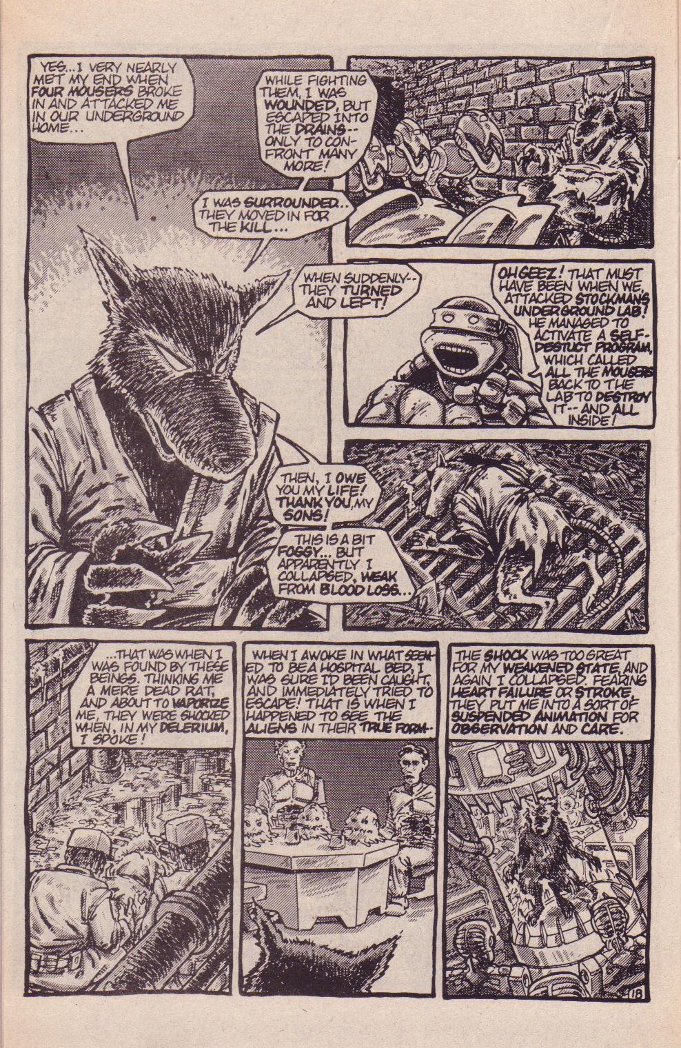 Teenage Mutant Ninja Turtles (1984) Issue #7 #7 - English 20