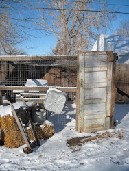 chicken coop doors door treasures junk jane looking