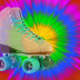 Keeping Fit and Having Fun on Your Roller Skates