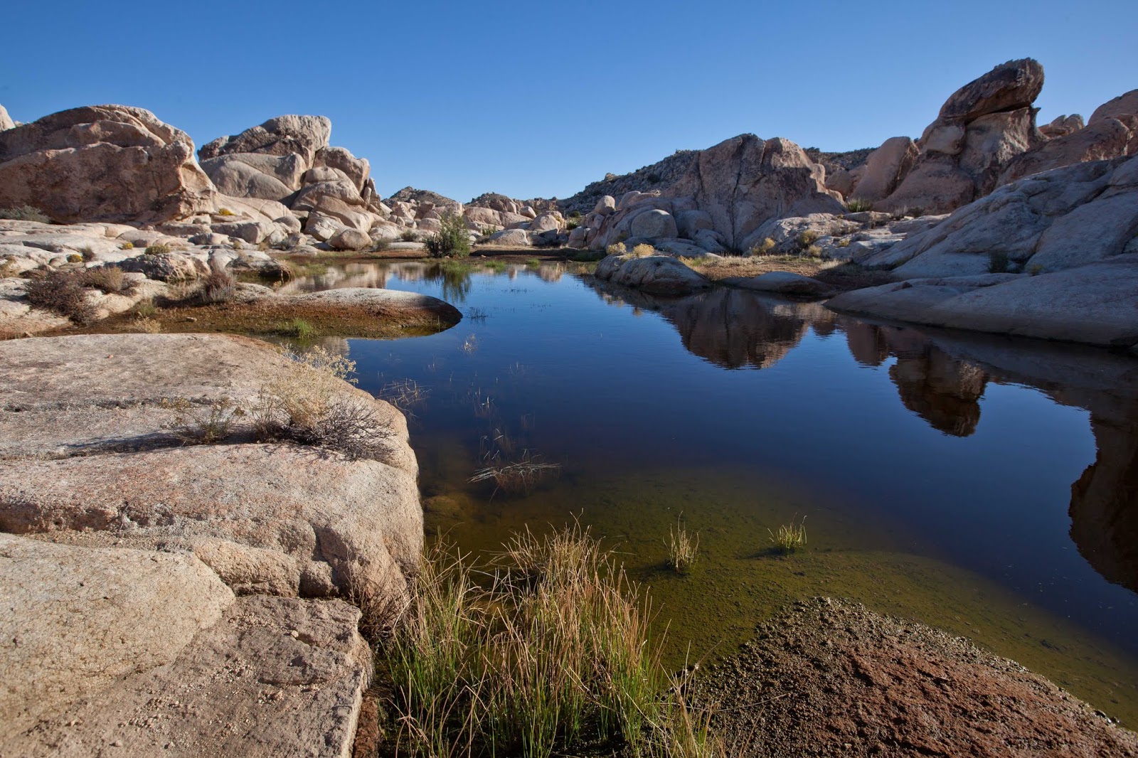 Spare Parts and Pics 2018