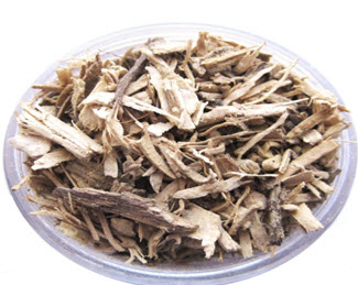 Roots of Piper methylsticum