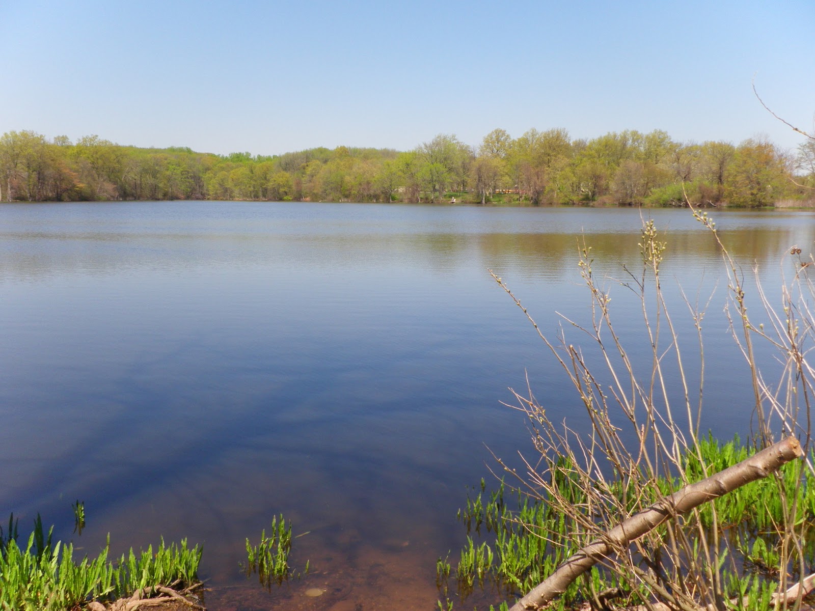 The Great Lakes of NYC Wolfes Pond and Acme Pond