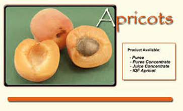 Fruit Explorer: The Fruit Explorer Encounters an Apricot, Part 2 of 2