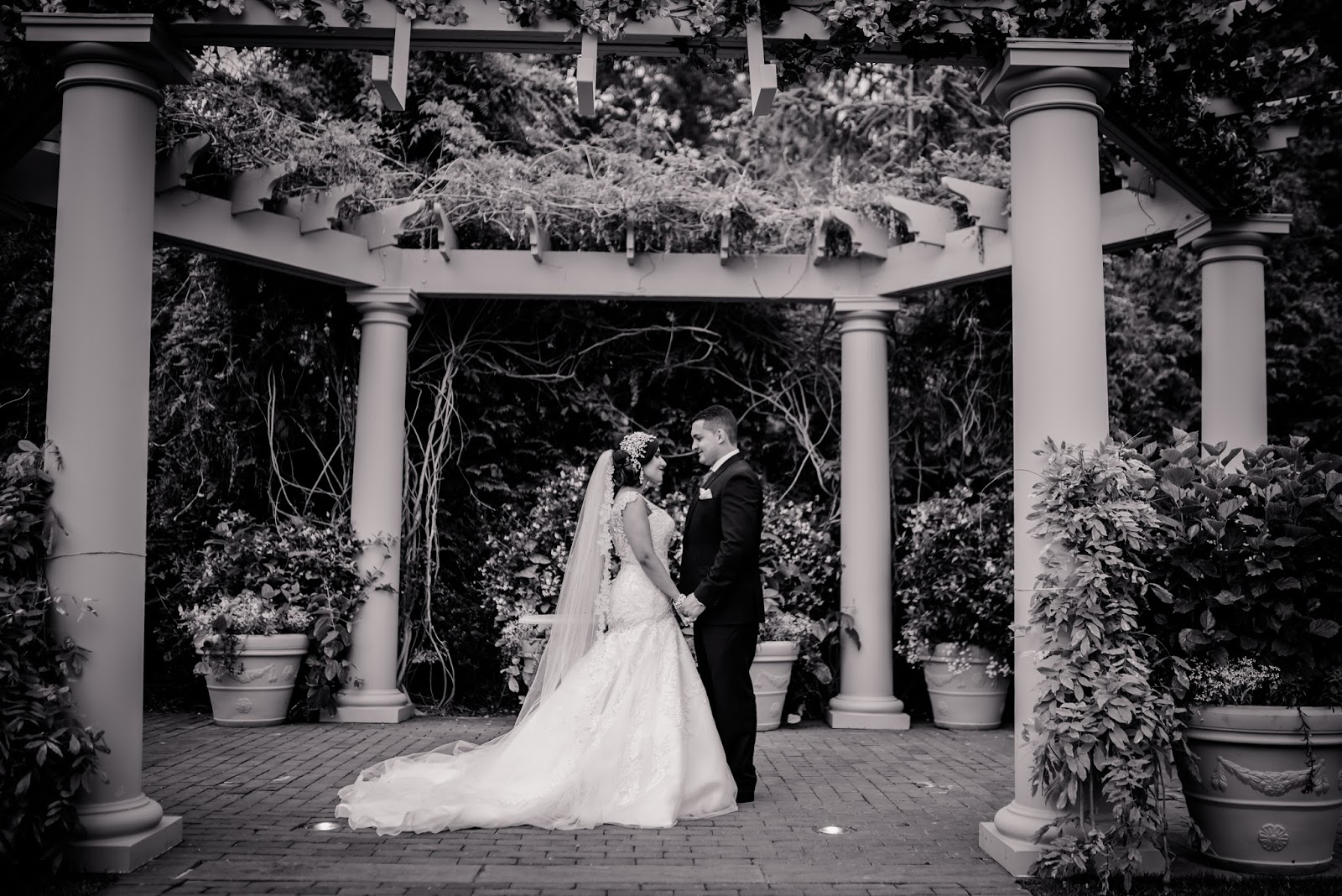 How To Get The Wedding Photographer Of Your Dreams And Still Stay