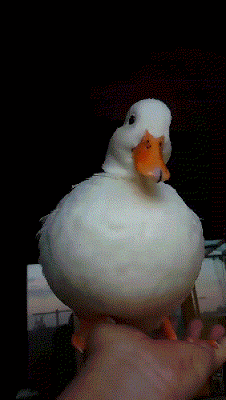 우리 엄마 괴롭히지마라 이 나쁜놈아.gif
