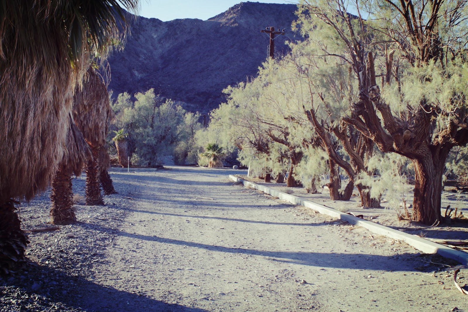 What is at the End of Zzyzx Road