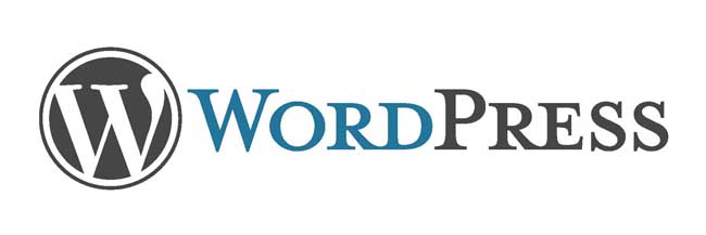 Website Company Profil wordpress