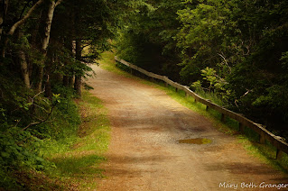 path to Owls Head Lighthouse in Maine photo by mbgphoto