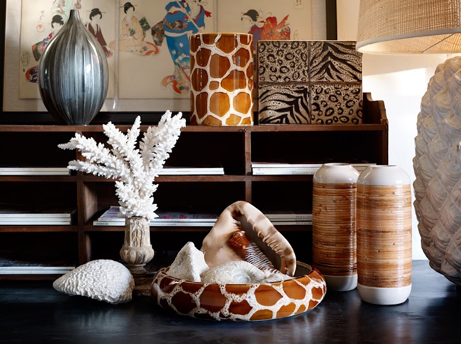 bodegón de conchas y corales