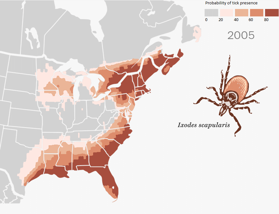 Geographic distribution of ticks and disease cases in the U.S. Vivid Maps
