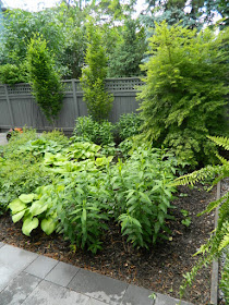 New Danforth Greektown perennial garden by Garden muses-not another Toronto gardening blog