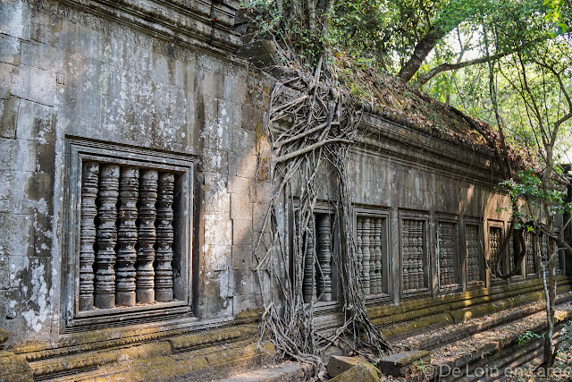 Beng Mealea - Cambodge