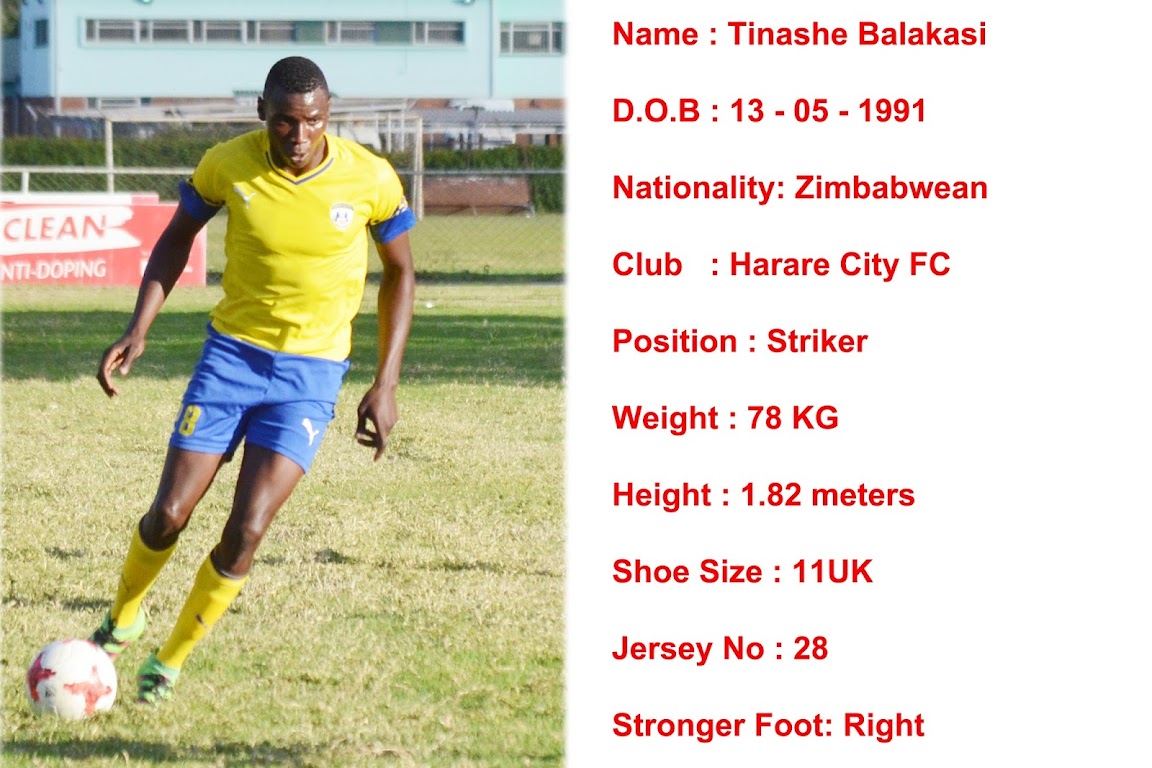 Zimbabwe Soccer Players Profile