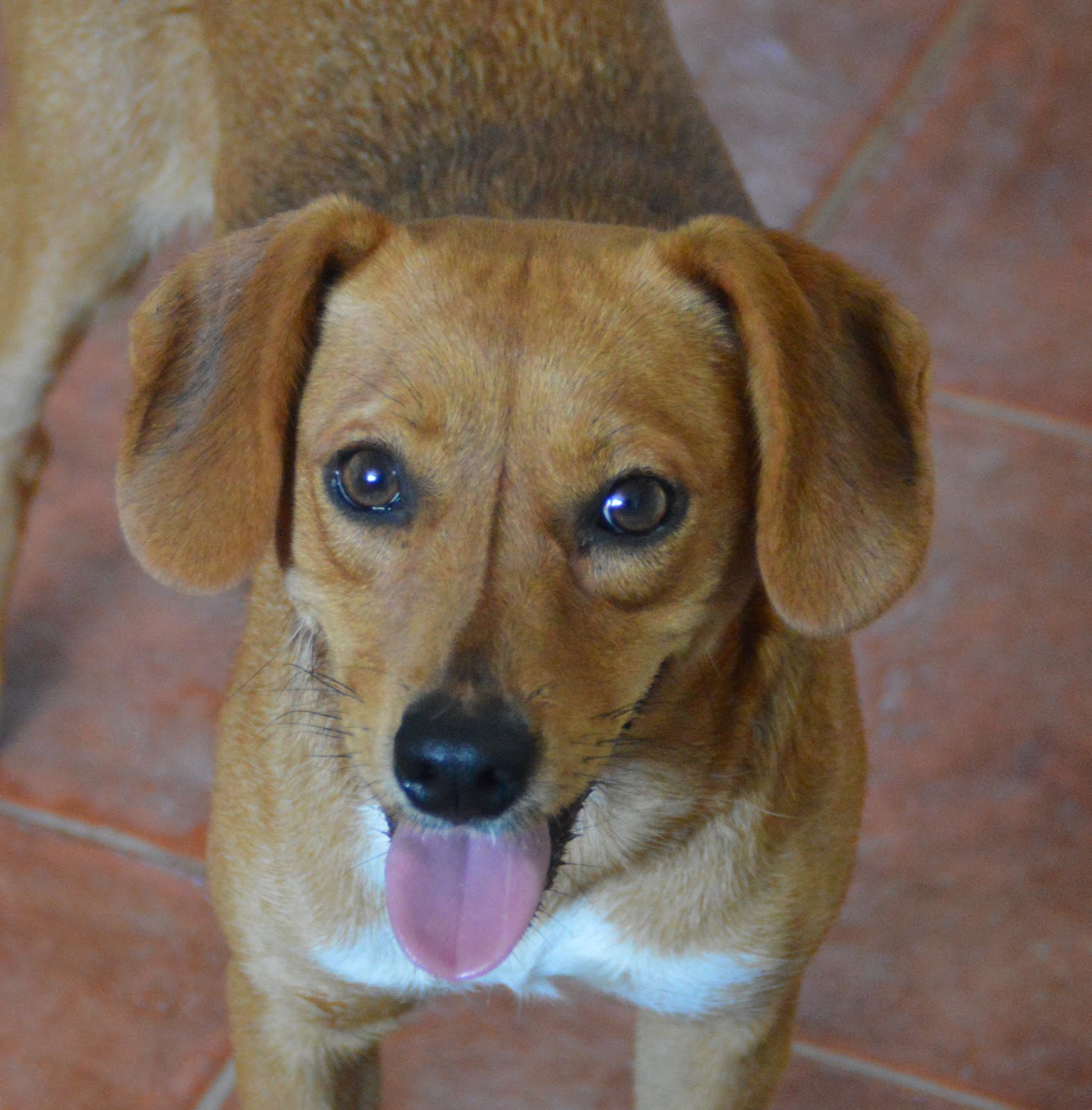 Das wahre Leben So´n büschen bekloppt ist ja ok. Juli 2016