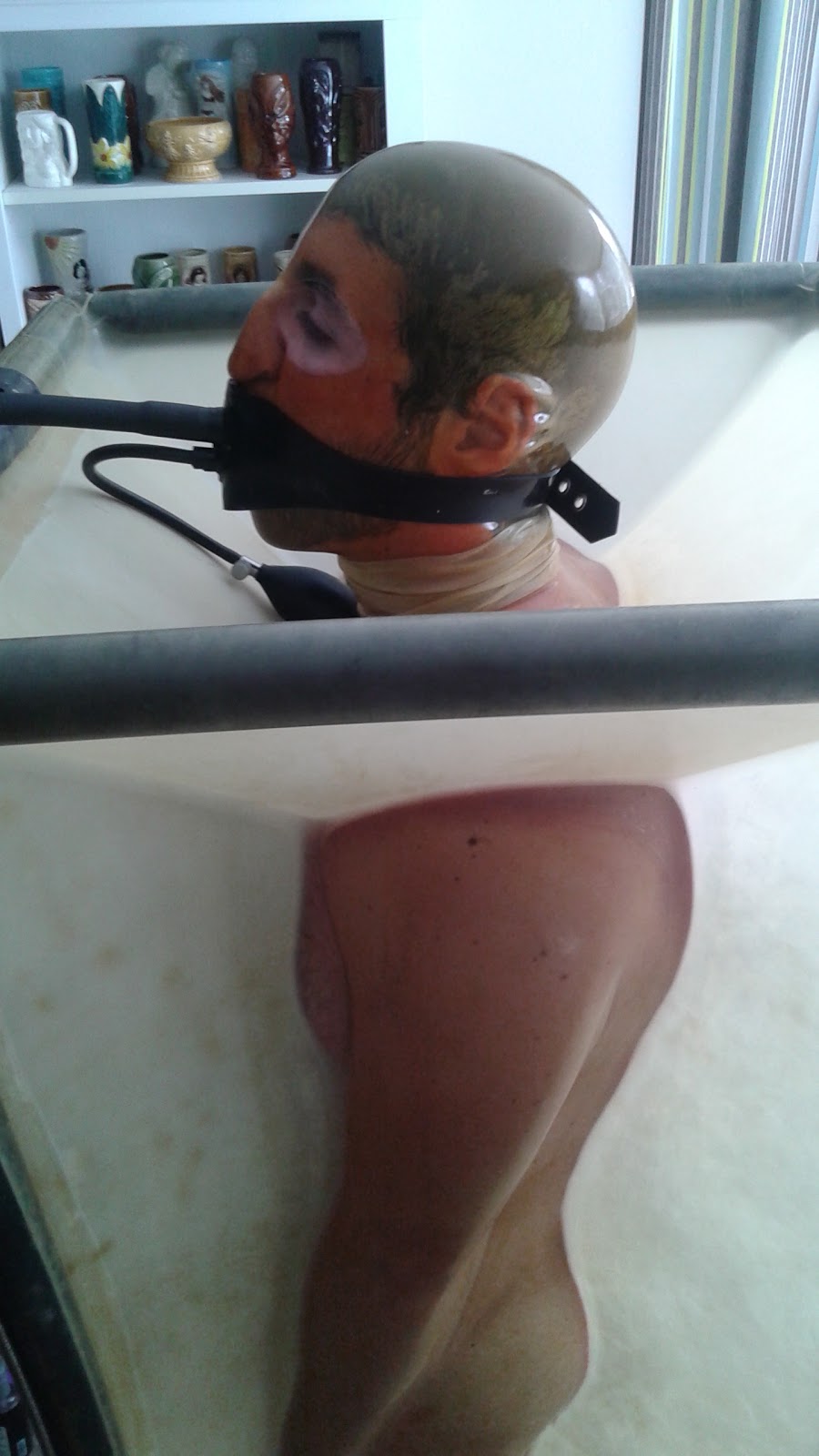 vac rack gay canuck gay us presidents