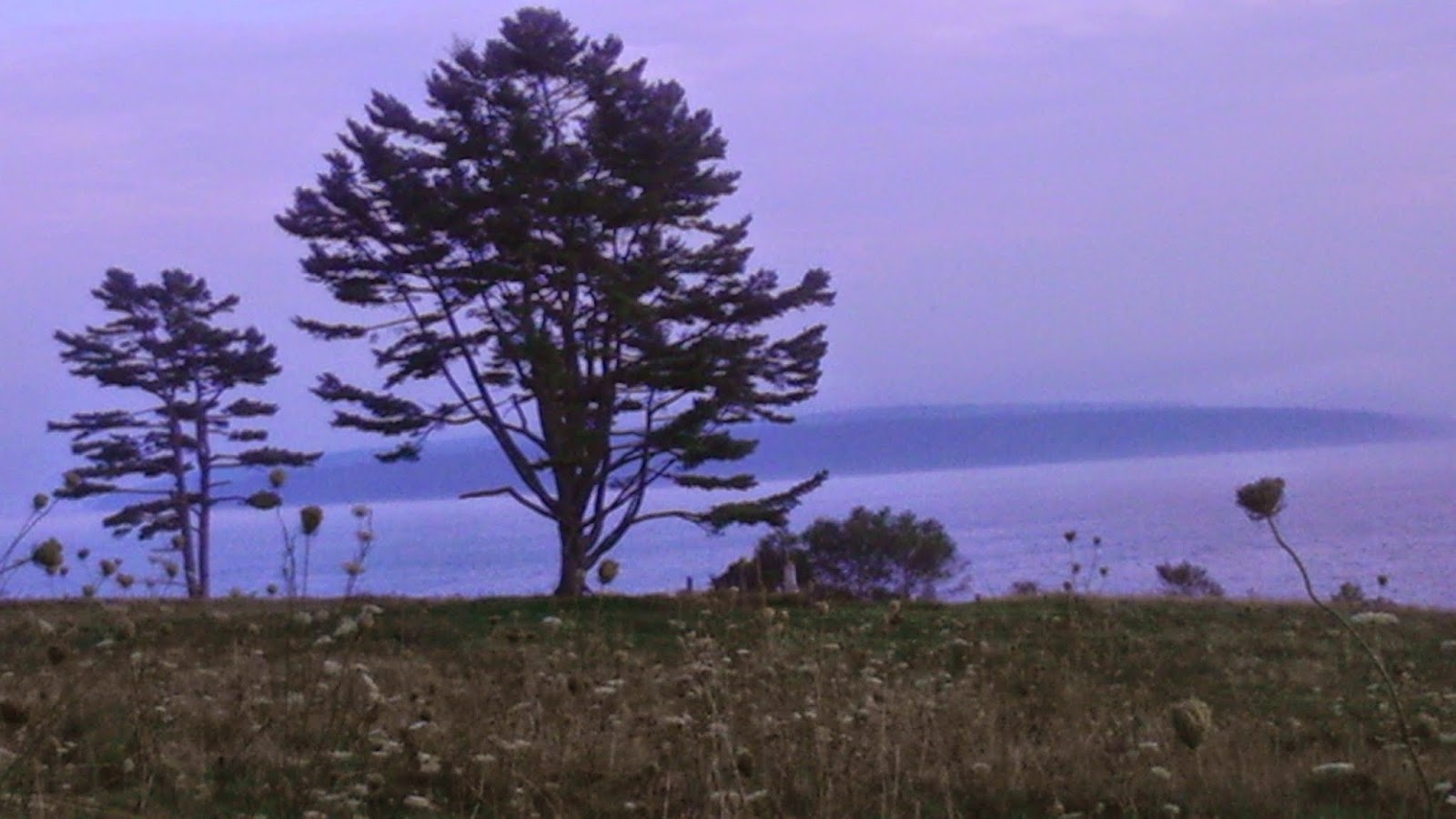 Sara Lynne's Kitchen