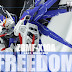 Custom Build: MG 1/100 Freedom Gundam Ver. 2.0 [Detailed]