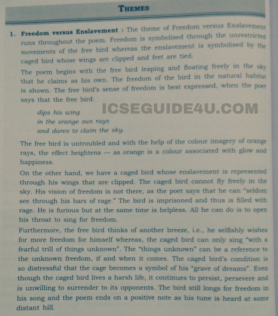 Bird caged essay i know poem sings why image