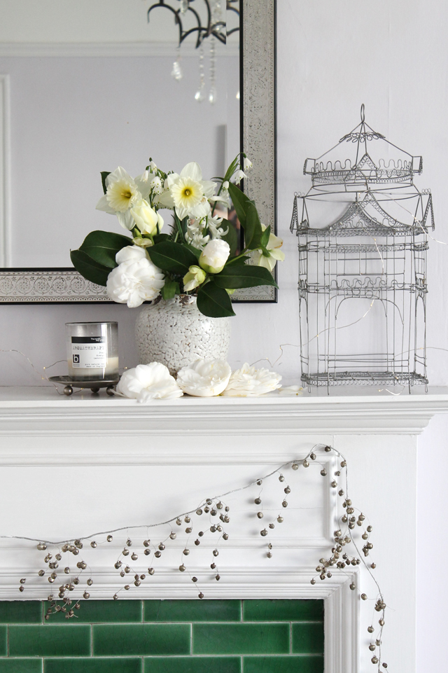 Real World Gardener Crocus In Talking Flowers