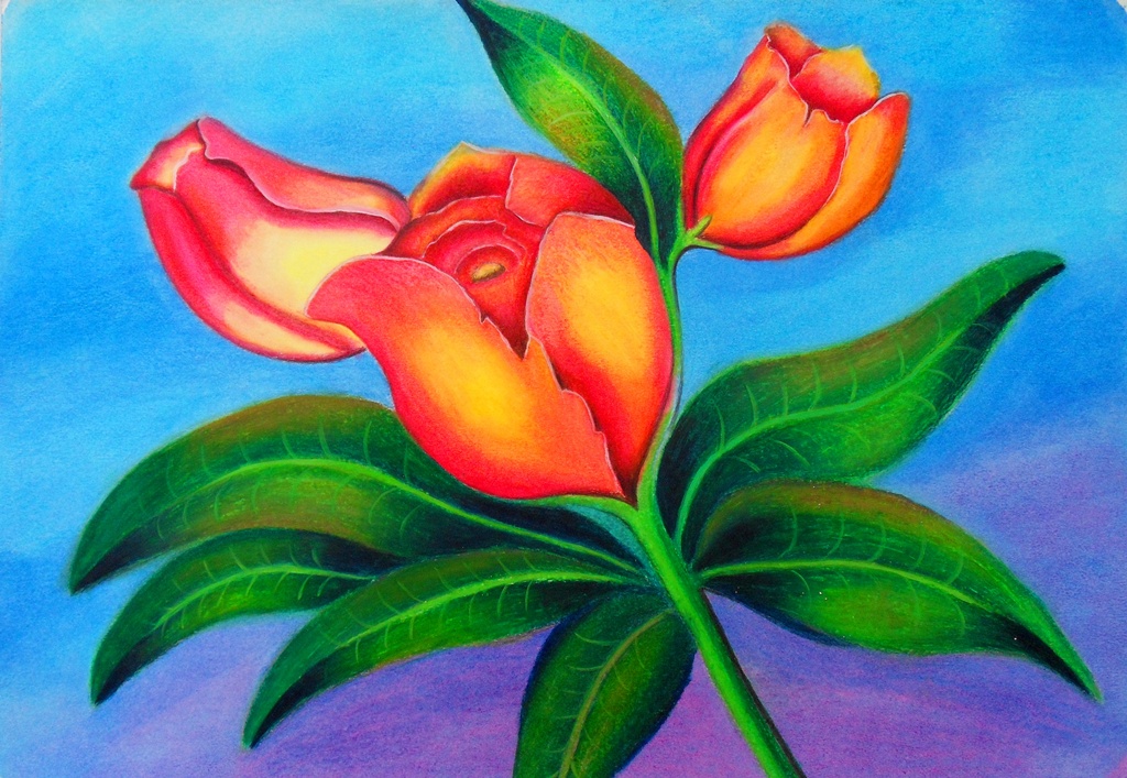 Imágenes Arte Pinturas: FLORES EN PASTEL SOBRE PAPEL