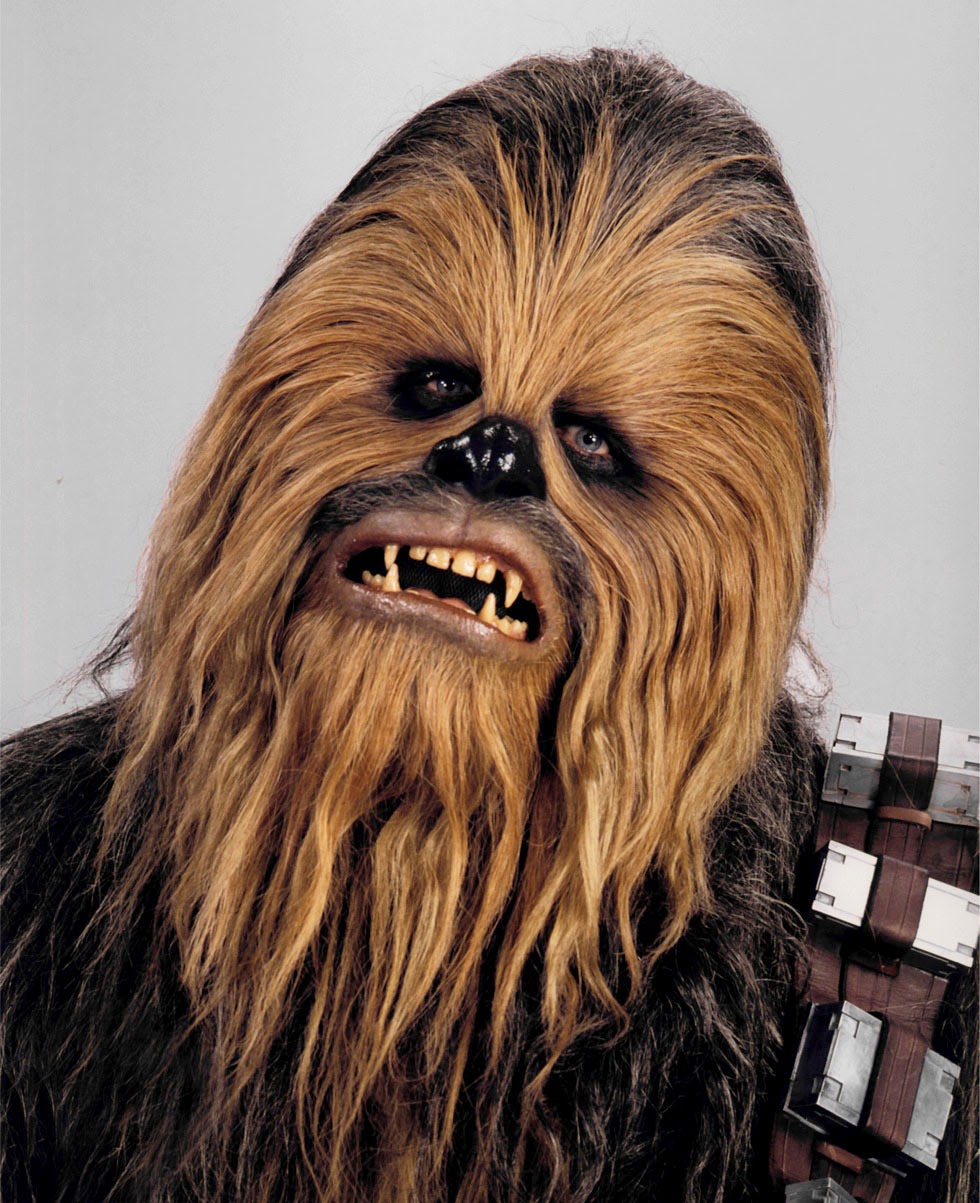 basjaun%2Bchewbacca.jpg