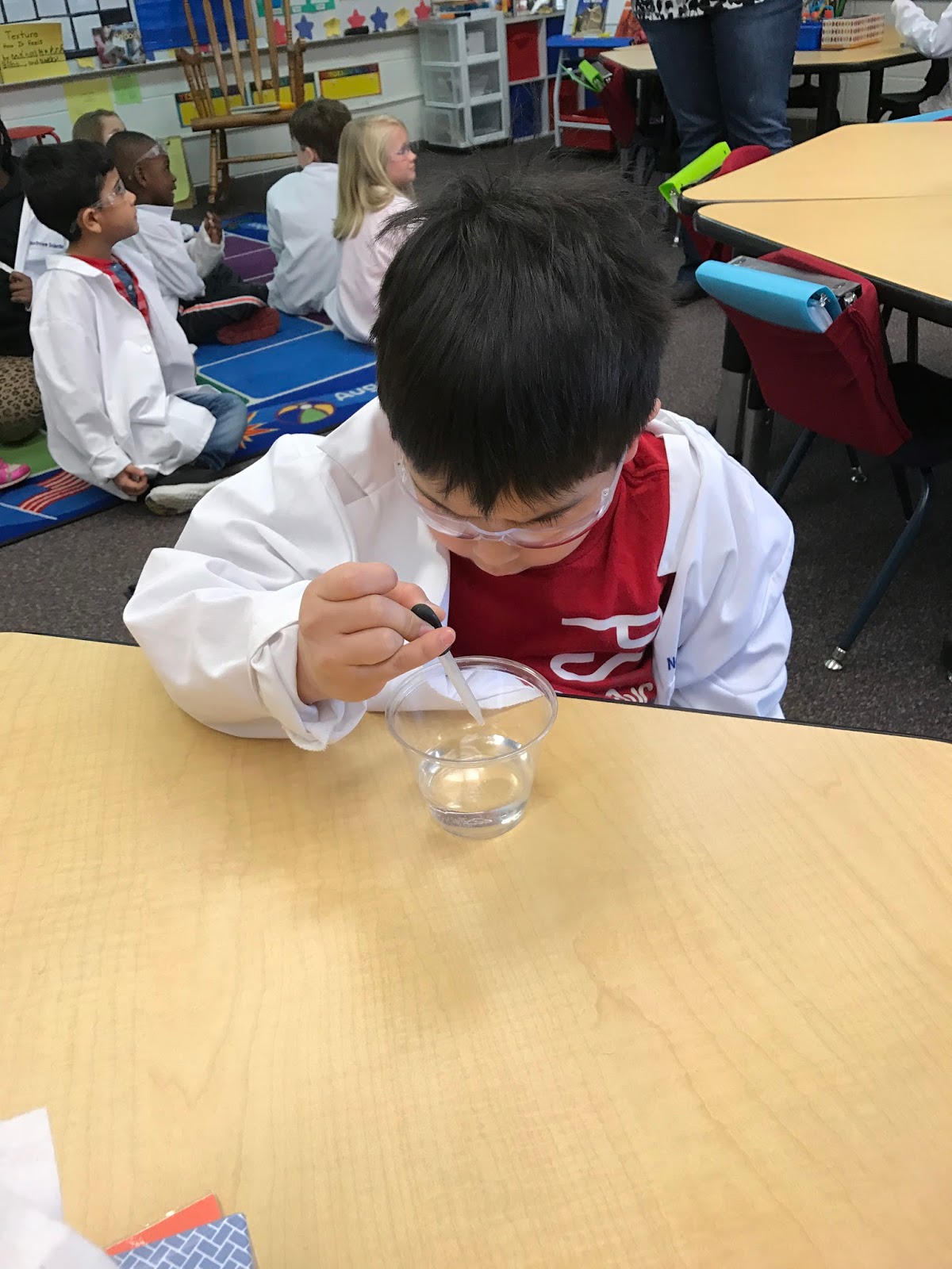 Mrs. Kurt's All Star Kindergarten Blog What Happens When Wood Gets Wet?