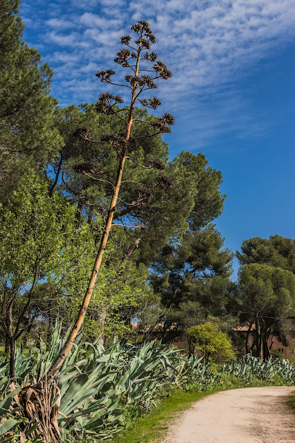 Parque Quinta de Torre Arias Parque Quinta de Torre Arias