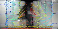 DESNUDANDO RESISTENCIAS