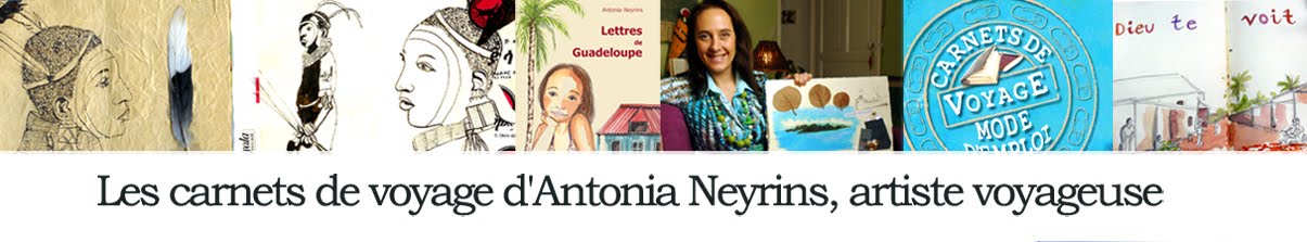 Les carnets de voyage d'Antonia Neyrins
