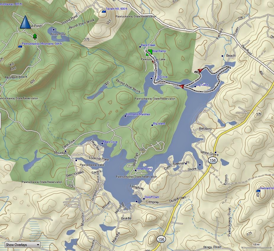 The Kayaking Bison of New Hampshire Pawtuckaway Lake Nottingham, NH