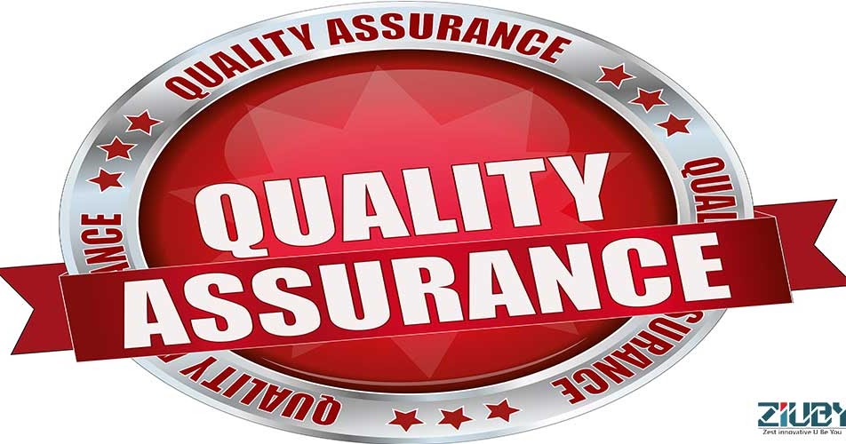 web-design-development-goals-of-quality-assurance