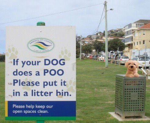 Dog Bin