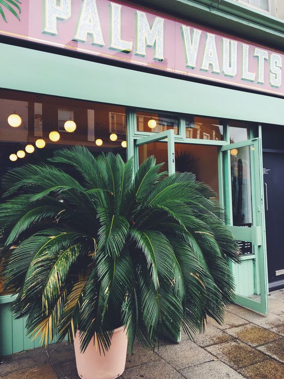 collage, rosa, pink, hues, color, flowers, palm