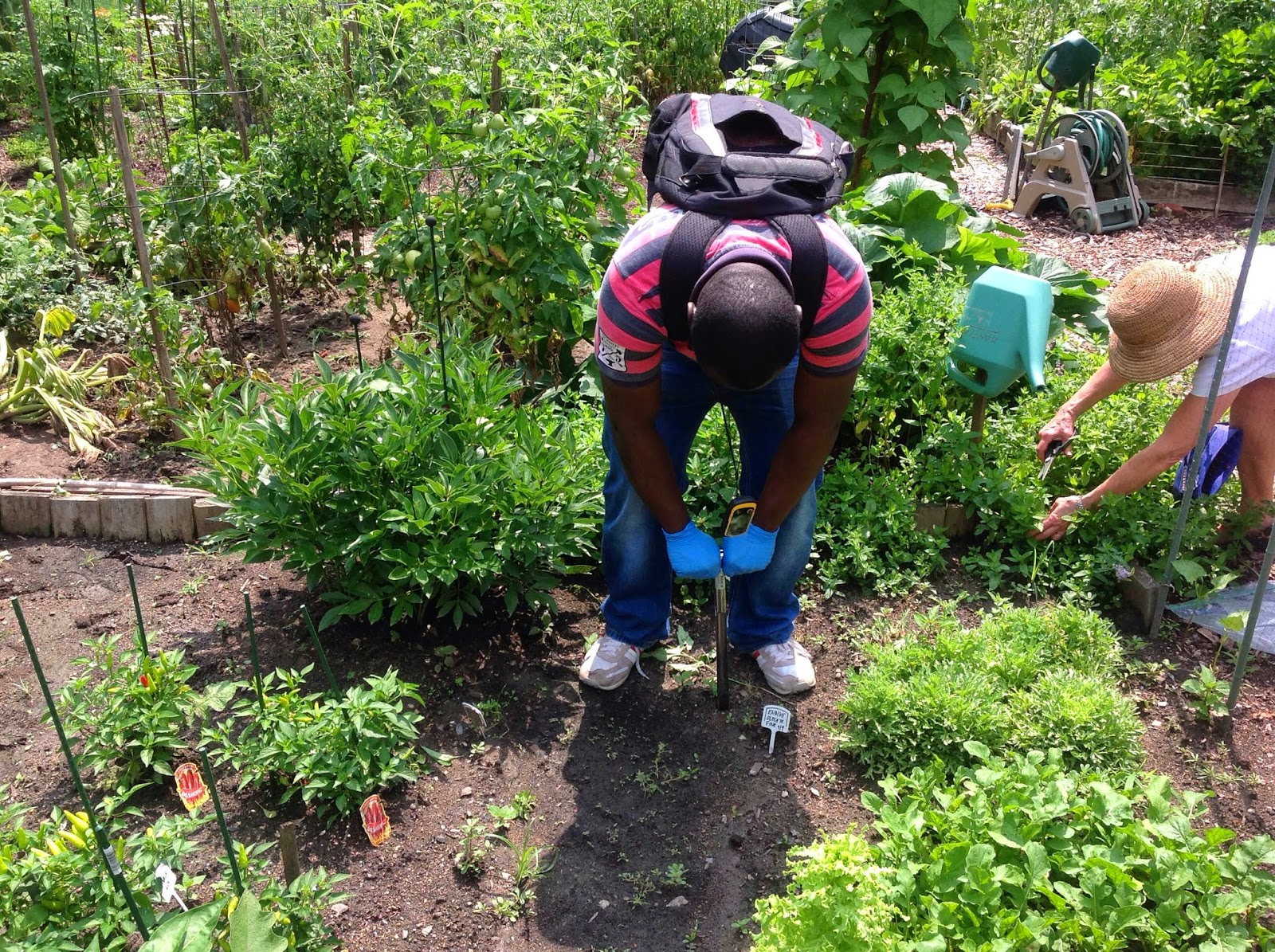 Just CAUSES Free Soil Testing for DC Residents!