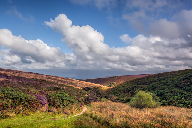 A small track leads into beautiful countryside on Exmoor's moorland